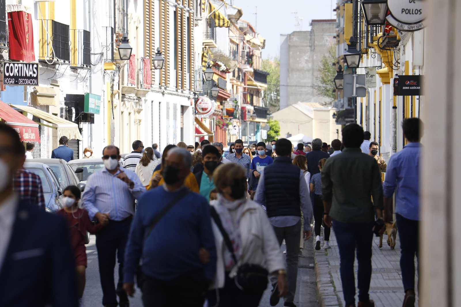 La hermandad de la Entrada Triunfal del Domingo de Ramos en Córdoba, en fotografías