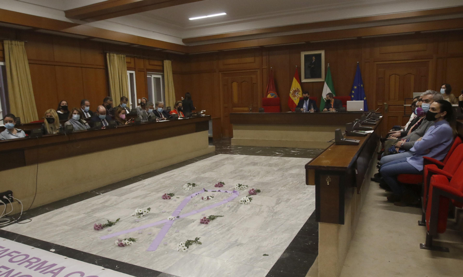 Pleno extraordinario por el Día Internacional de la Eliminación de la Violencia contra la Mujer.