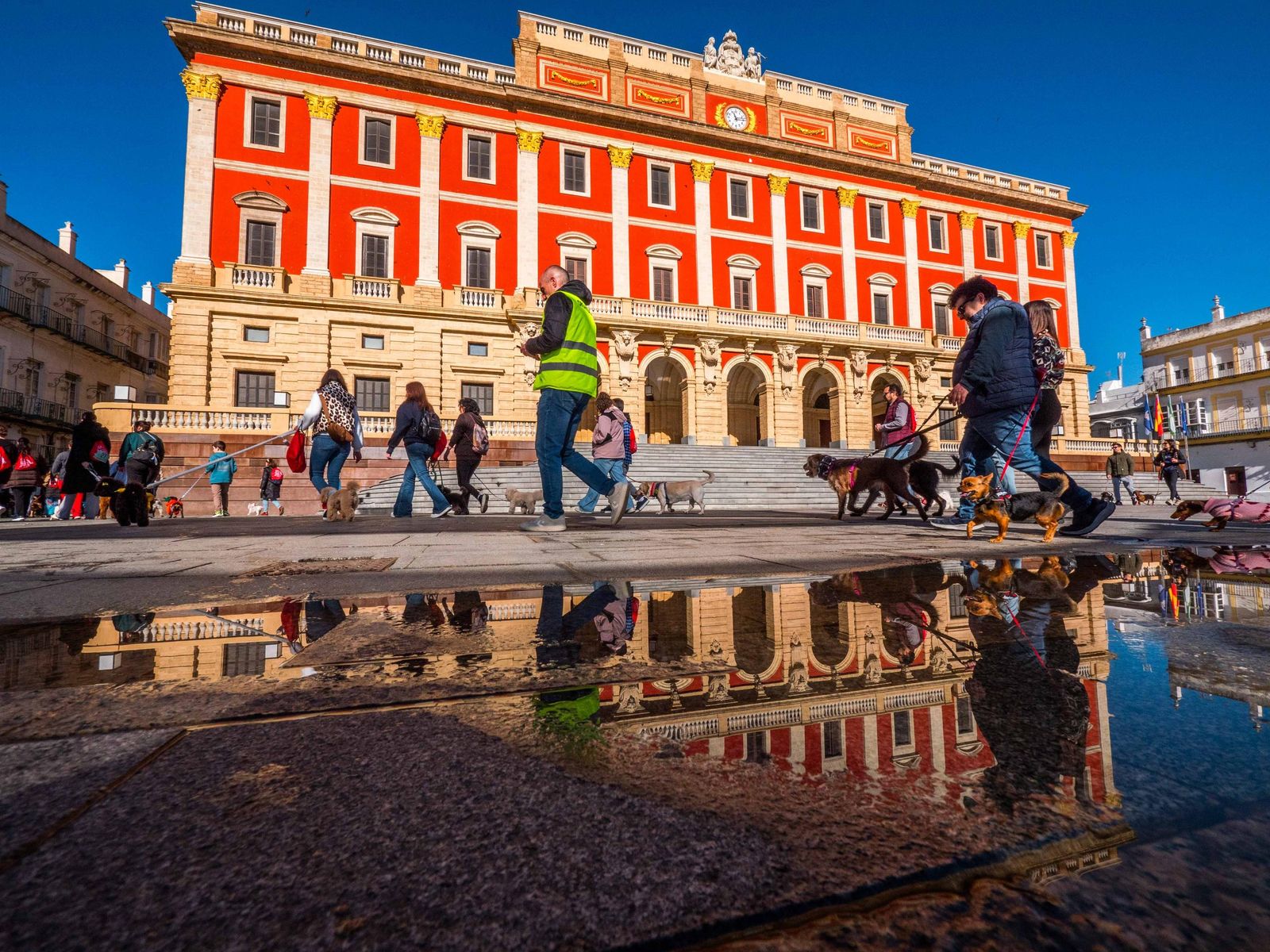 Las imágenes de San Antón 2025 en San Fernando