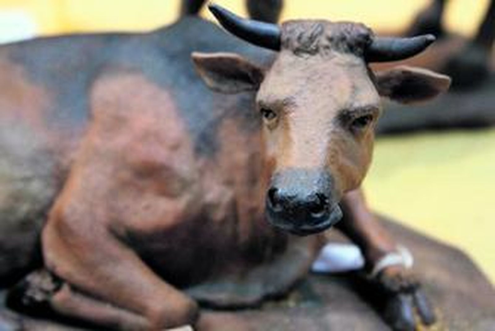 Sevilla se queda con el buey y la mula