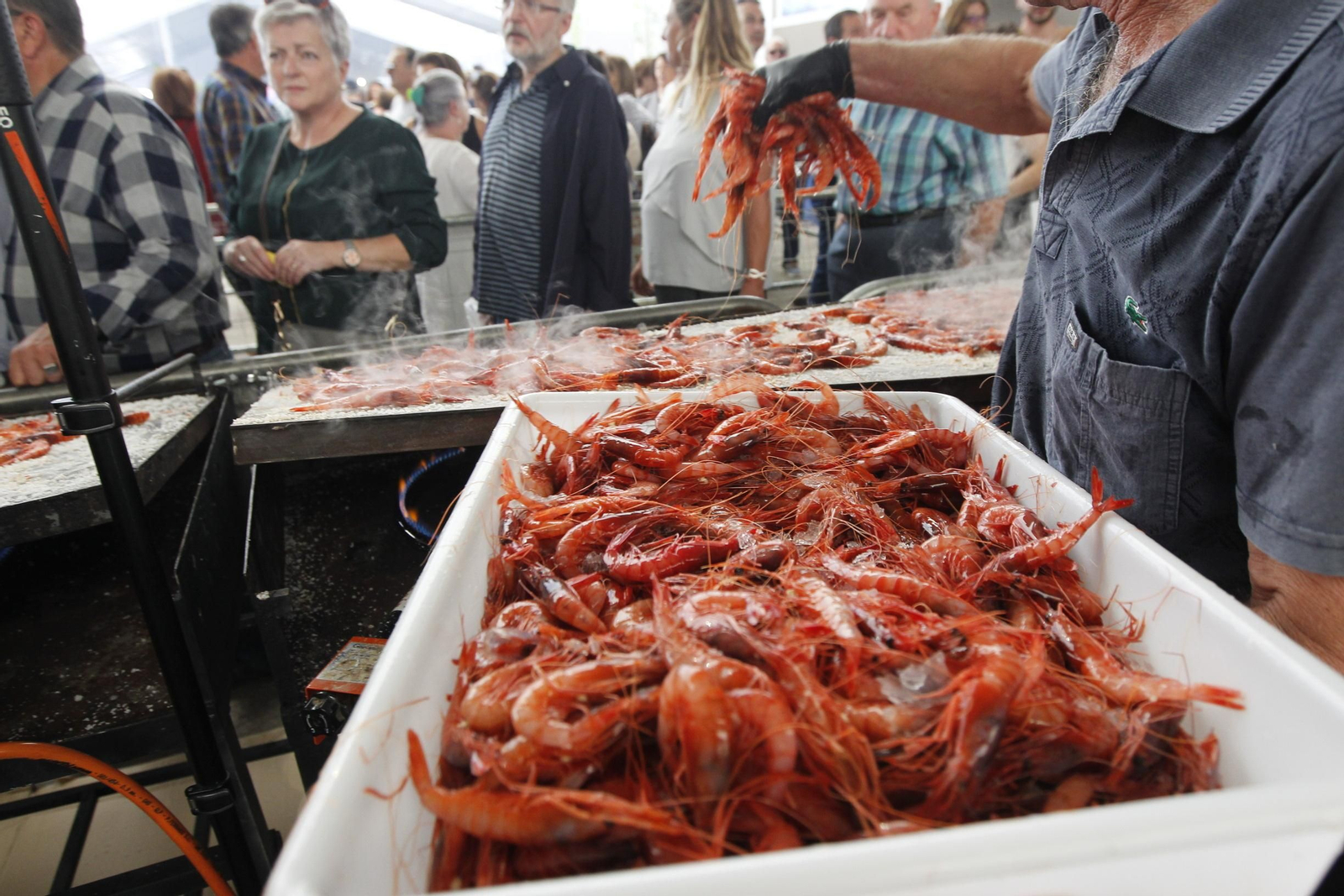 Fotogalería Feria de la Gamba Roja de Garrucha