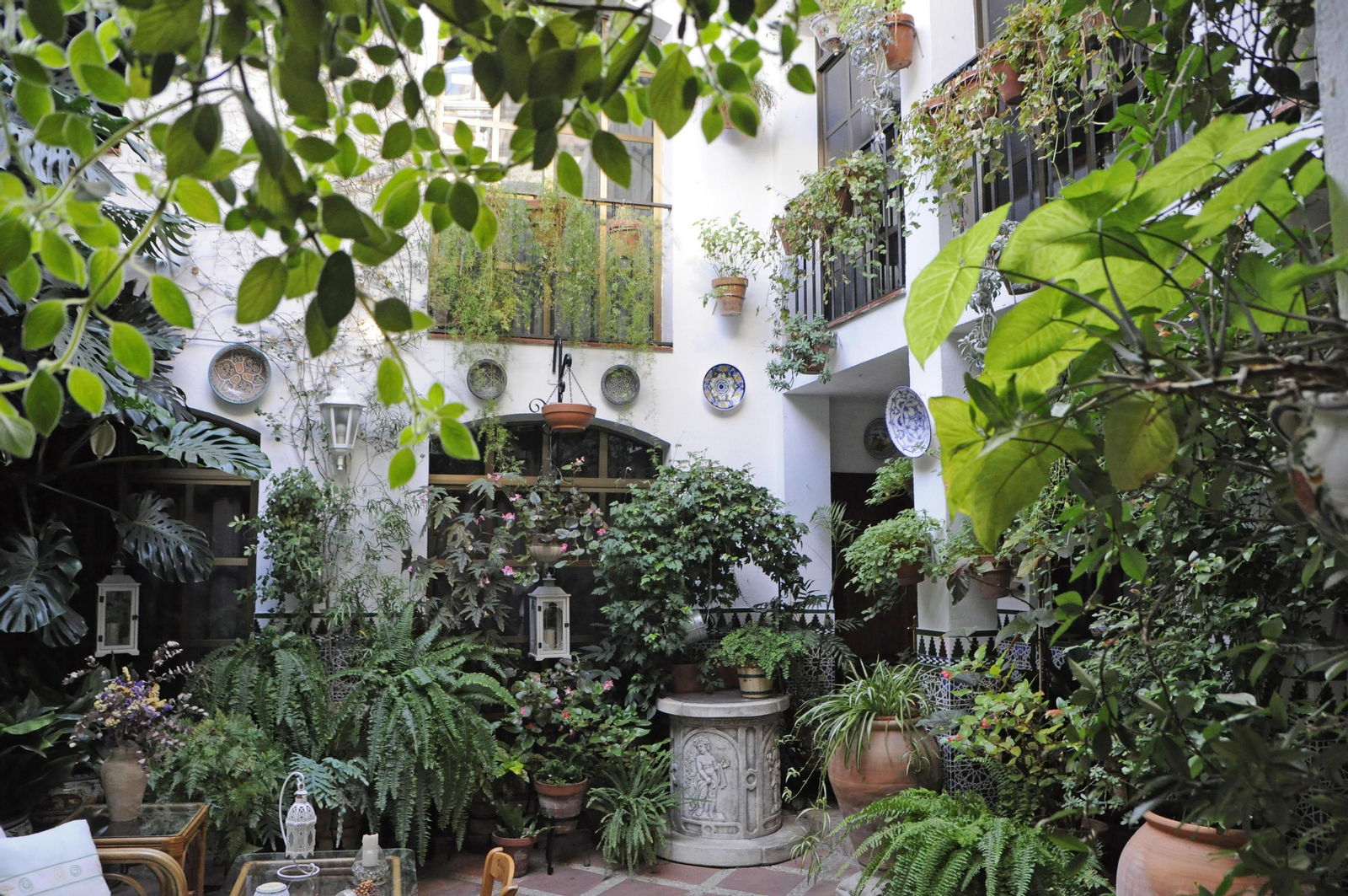 Los Patios de Córdoba se acicalan para su apertura en otoño, en fotografías