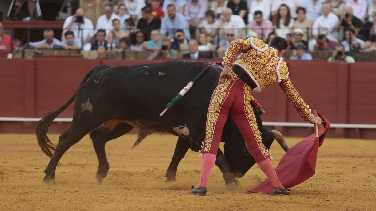 Las imágenes de la corrida de Los Miura
