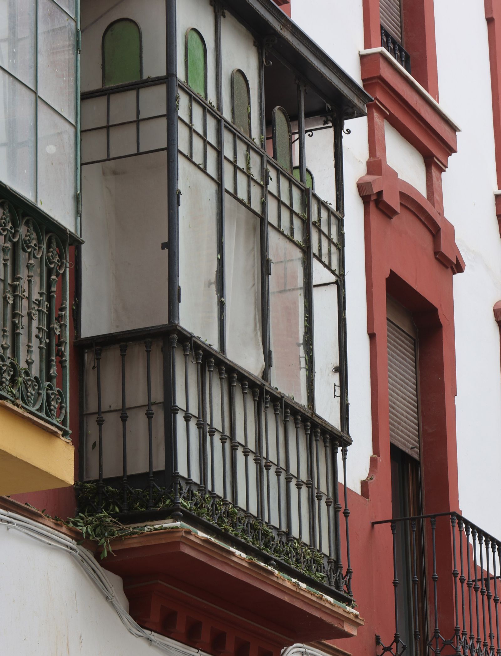 Los desperfectos en la Encarnación tras desplomarse parte del ficus.
