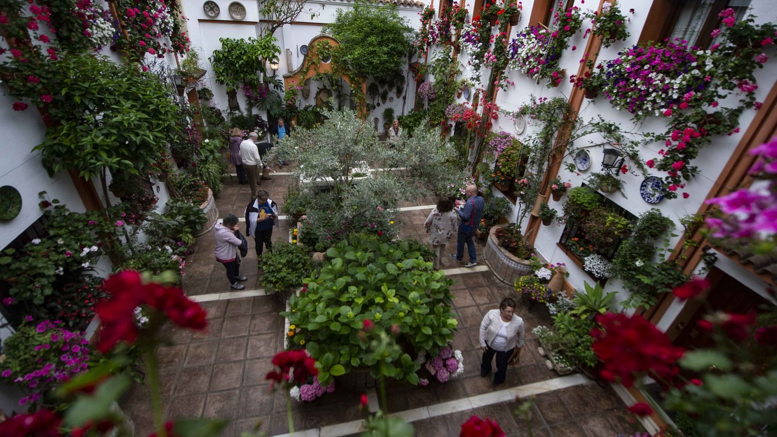 Visitantes en uno de los patios que entran en el concurso de 2019.