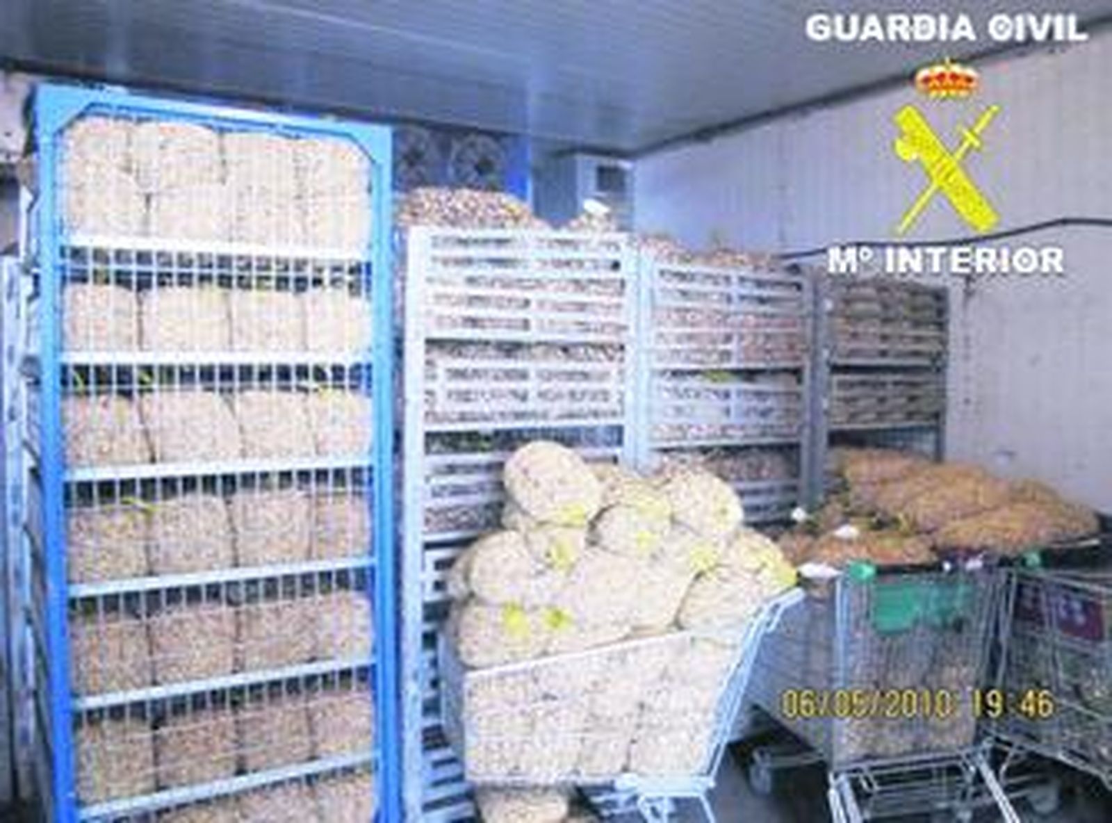 Cargamento ilegal de caracoles en una nave de El Cuervo, en Sevilla.