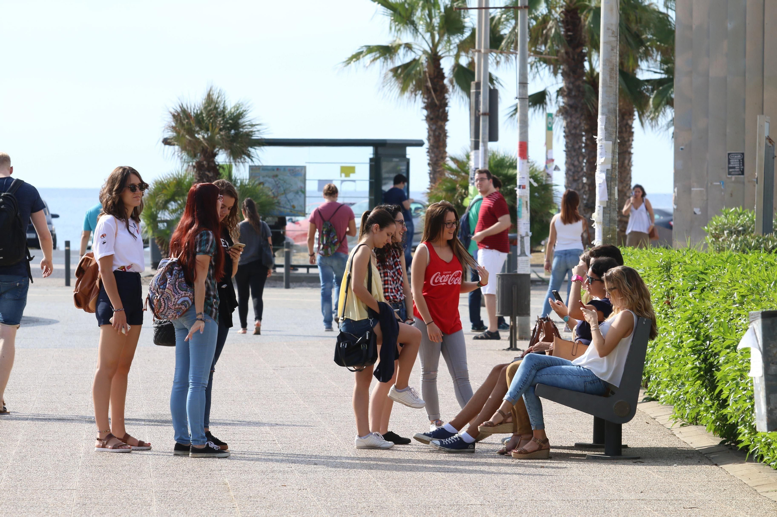 Alumnos en el campus de la Universidad de Almería, que acoge la semana que viene sus cursos de vernao.