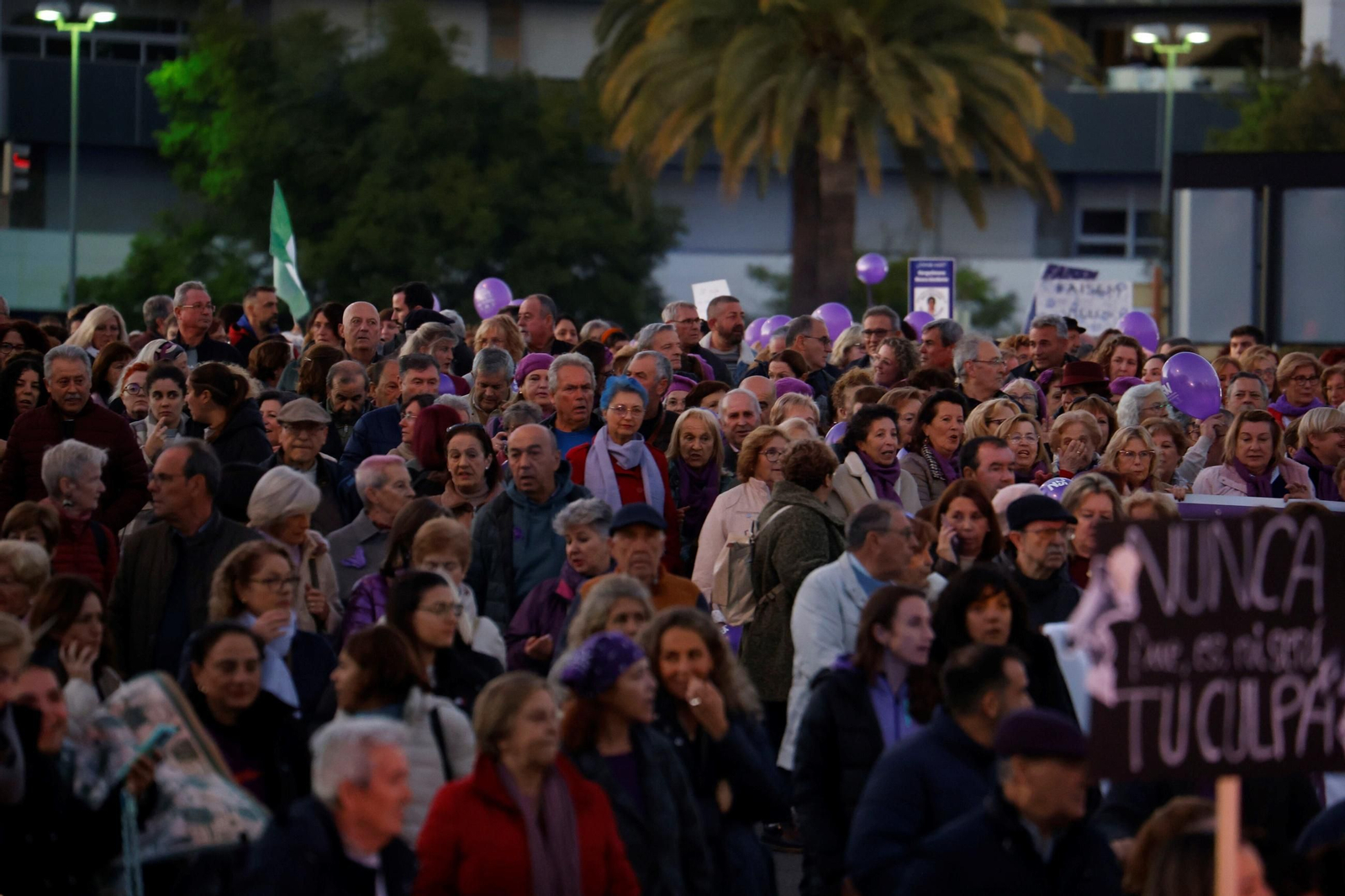 La manifestación del 25N en Córdoba