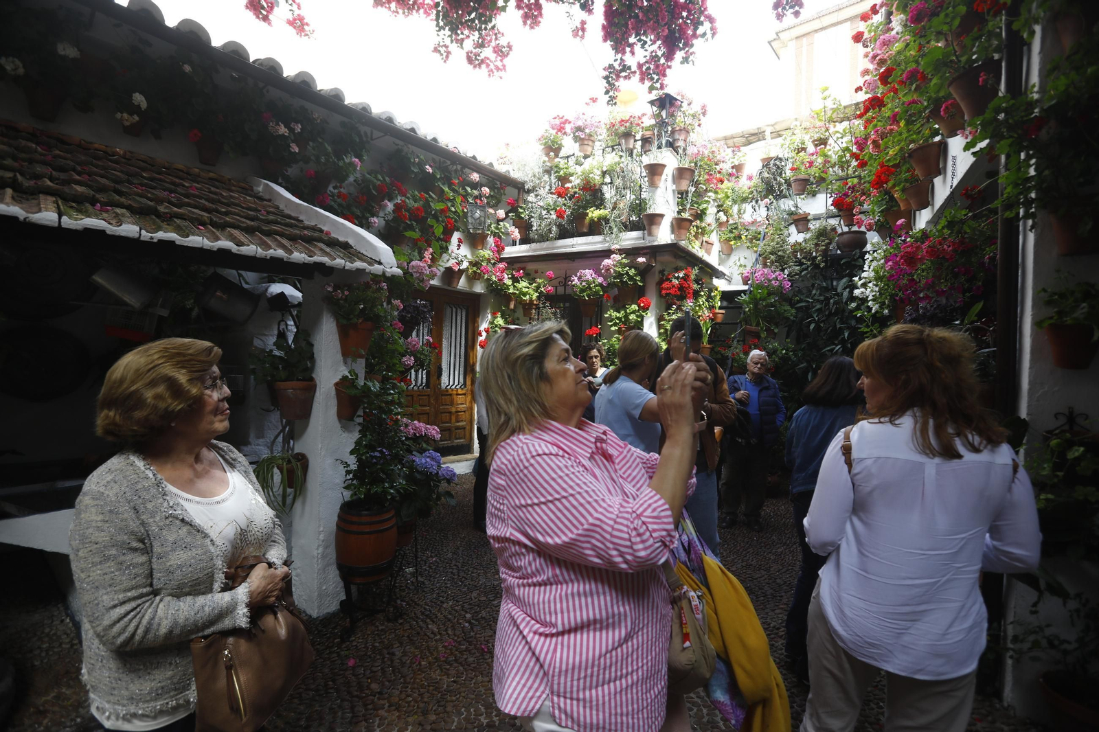 Colas e ilusión en el primer sábado de los Patios de Córdoba, en imágenes