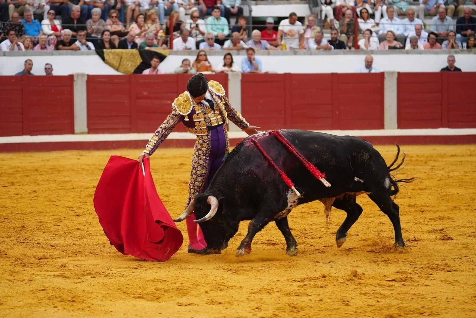 Las mejores imágenes de las corridas de toros de la Feria de Pozoblanco