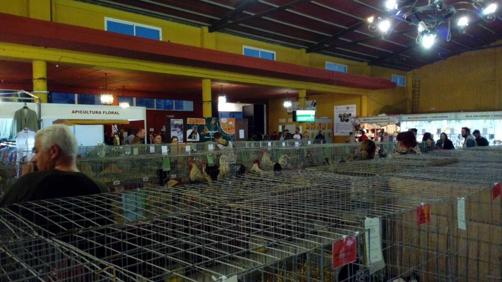 Aspecto que presentaba una pasada exposición avícola.