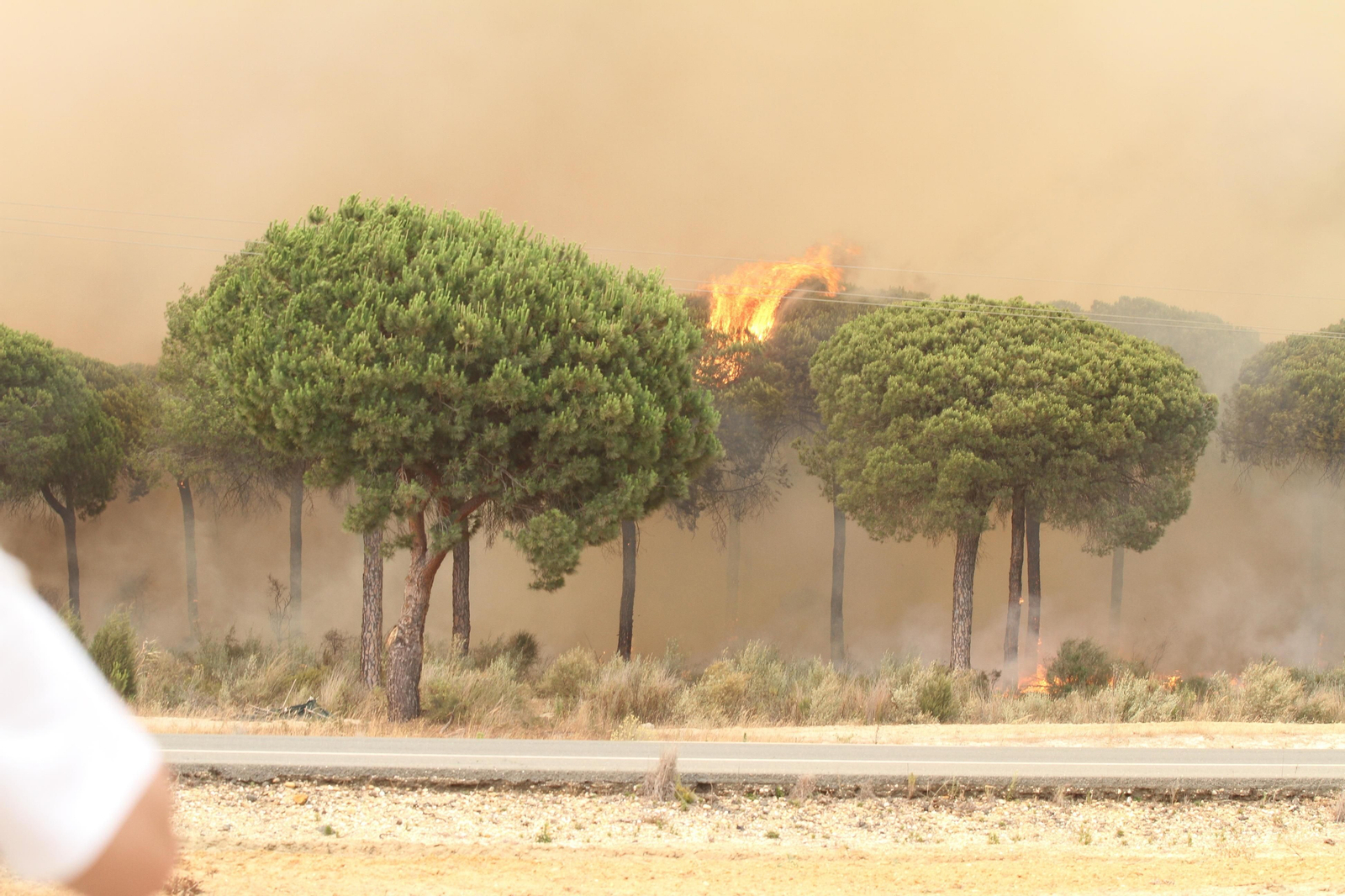 Las imágenes del incendio en Moguer y Mazagón
