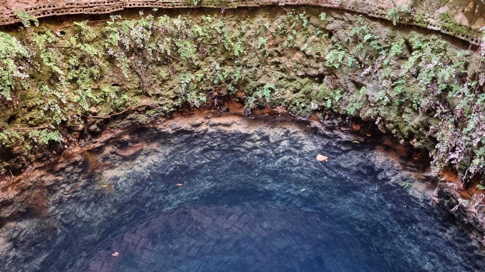 Un paseo en fotografías por el Bosque Encantado de Hornachuelos