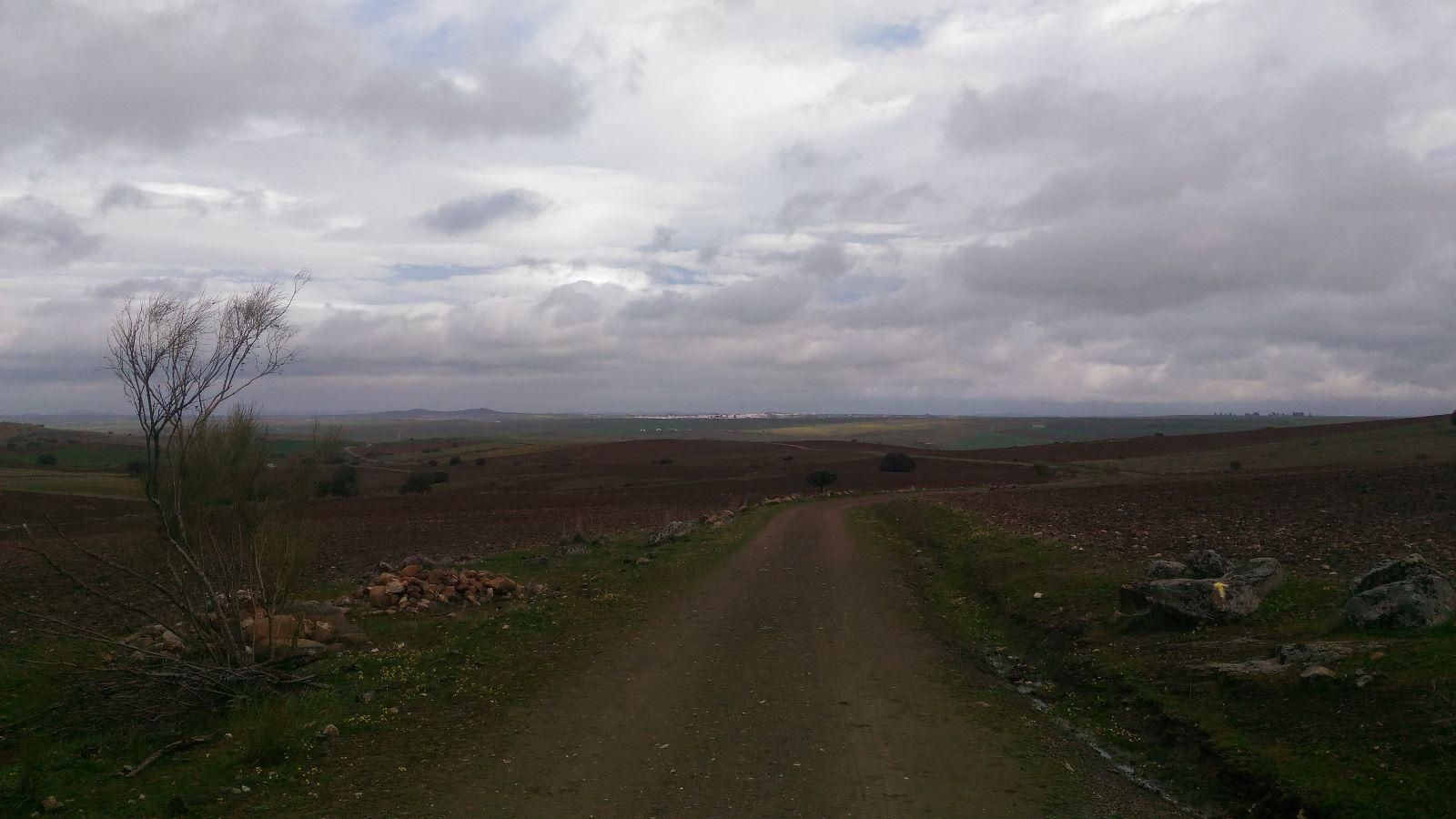 En esta etapa comienzan las largas rectas a campo abierto. Al fondo, a unos 10 km, Fuente de Cantos
