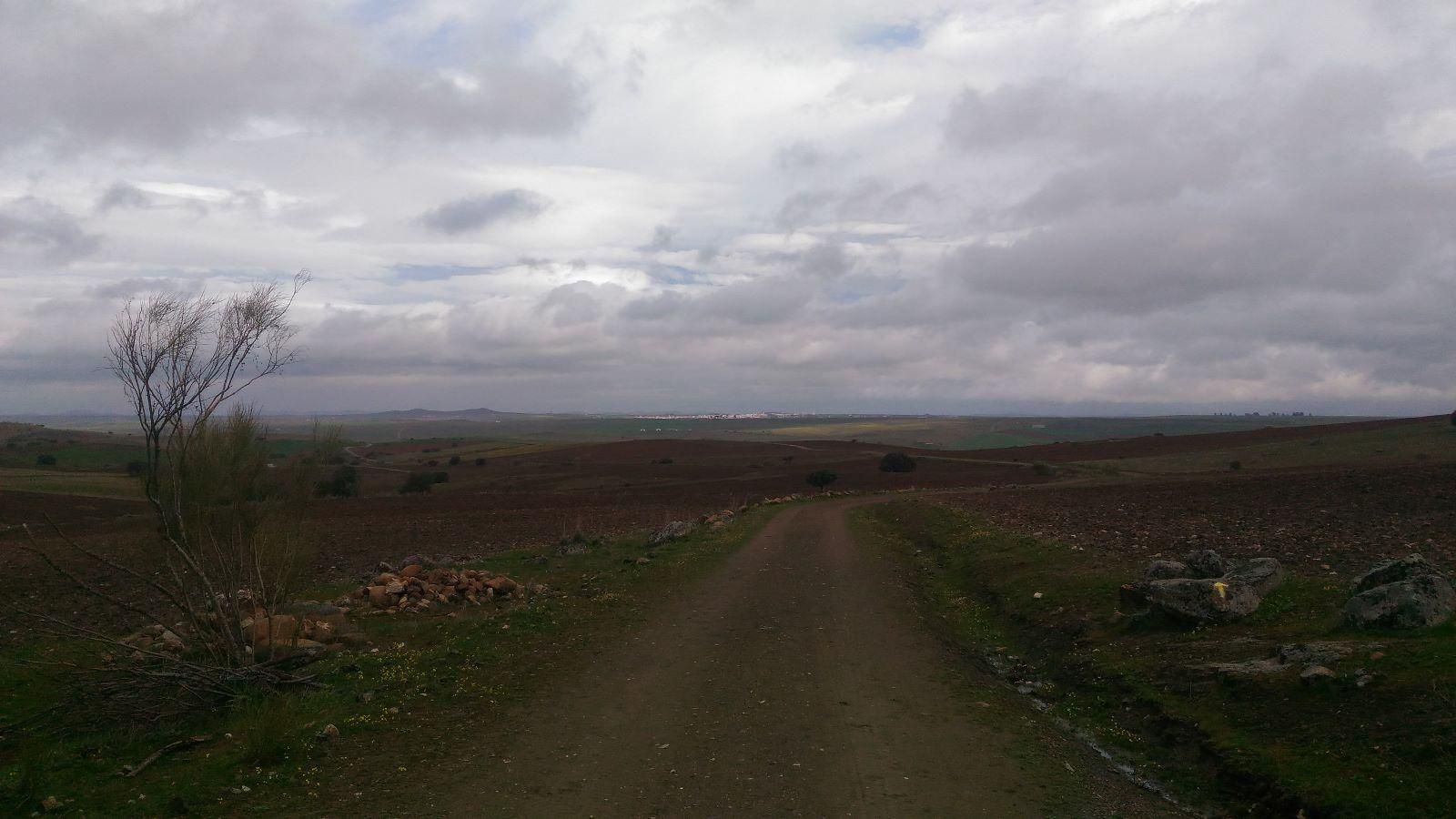 En esta etapa comienzan las largas rectas a campo abierto. Al fondo, a unos 10 km, Fuente de Cantos