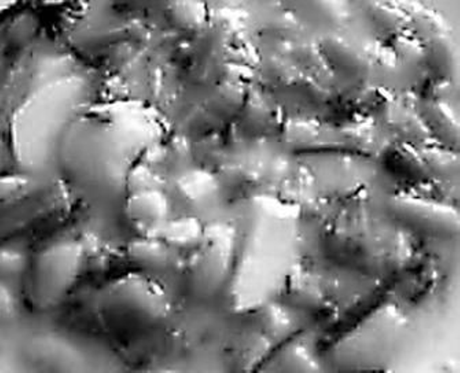 Olla de trigo con hinojos