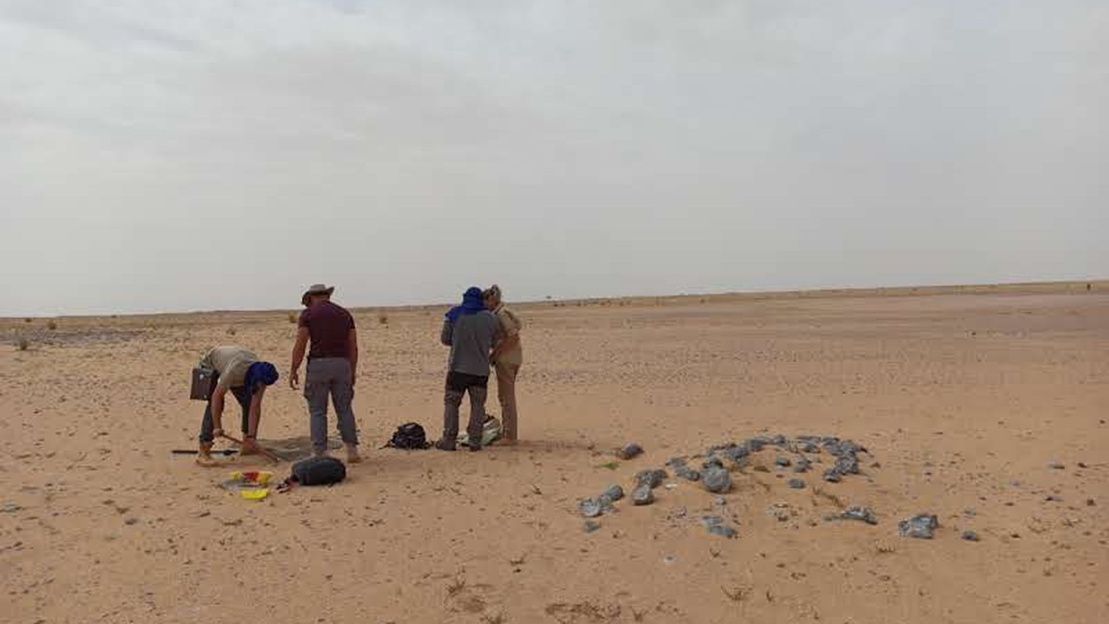 Descubrimiento de un cráneo de Spinosaurus mirabilis en Níger