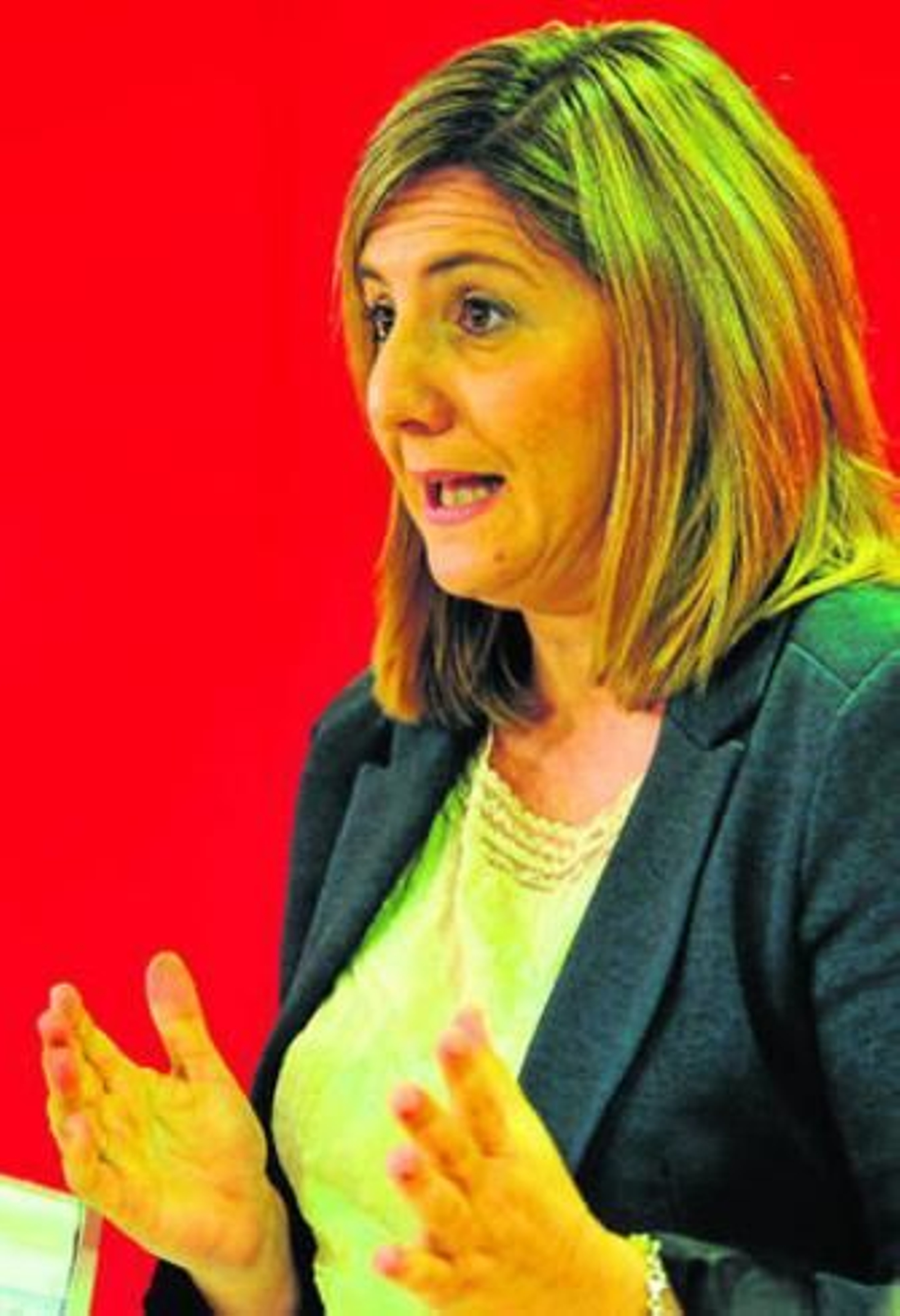 "El nuevo gobierno de la Diputación no tendrá más de cuatro alcaldes"