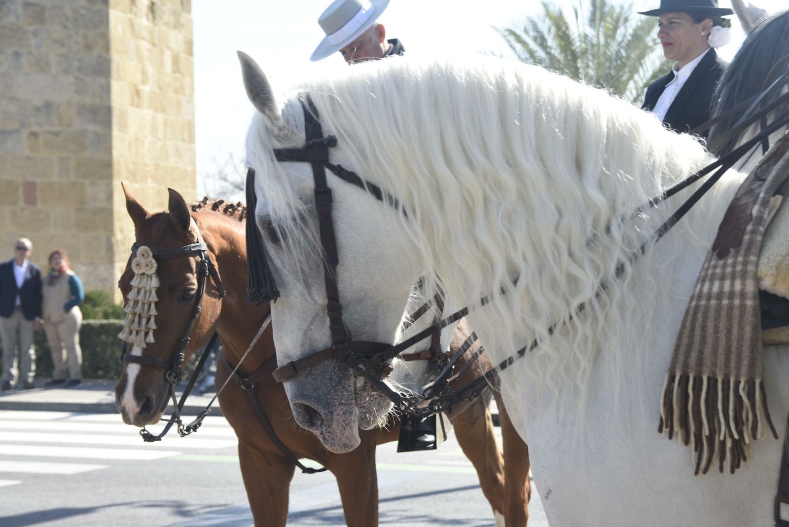 La marcha ecuestre de Córdoba por el Día de Andalucía, en imágenes