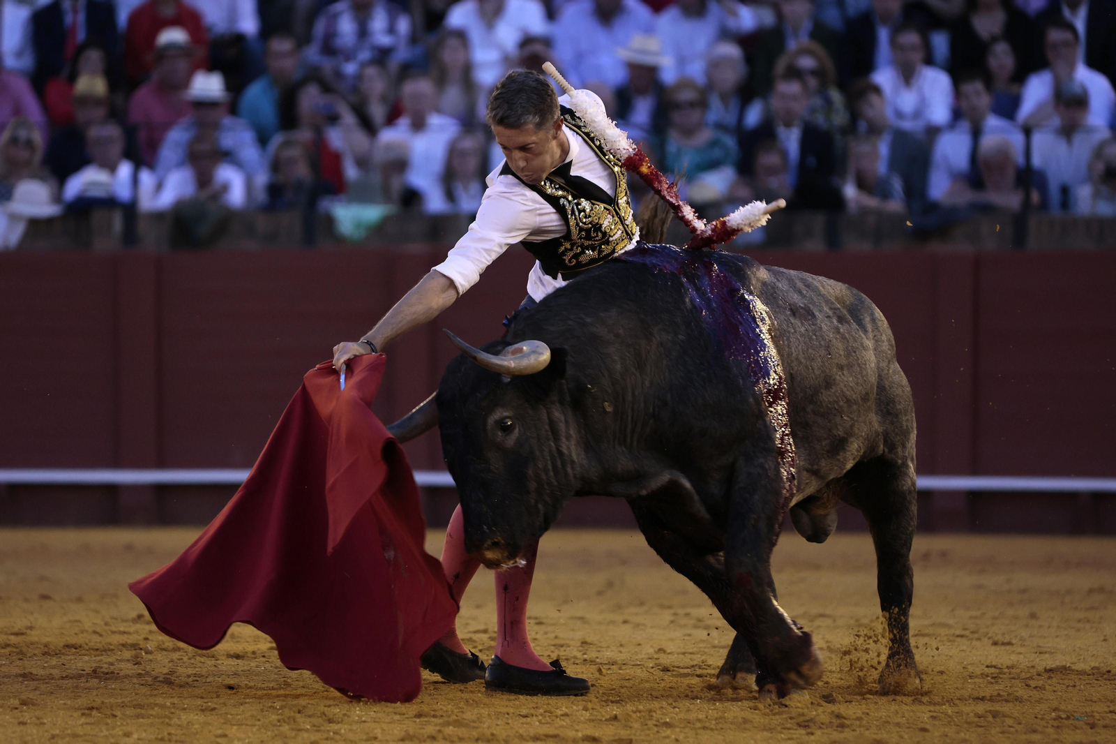 Las imágenes del festejo