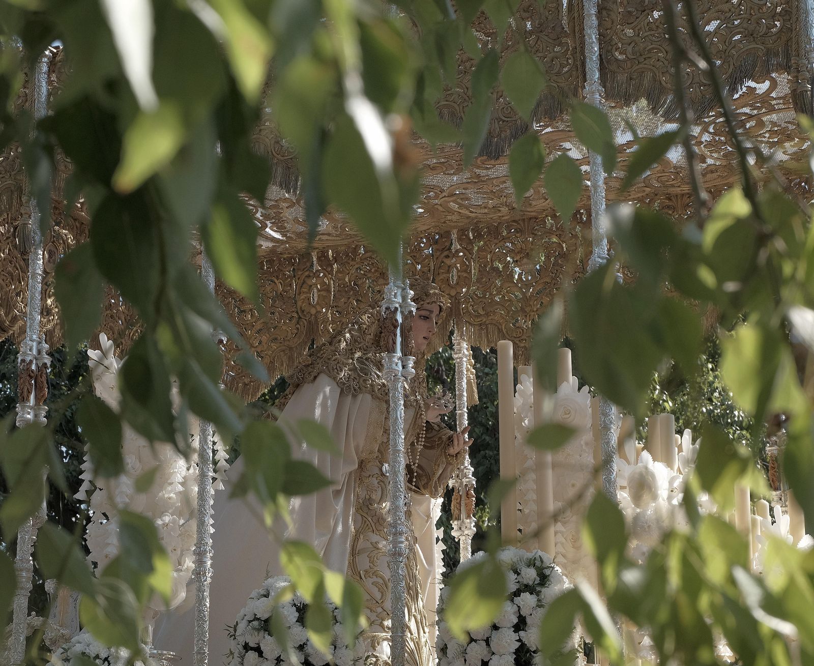 Traslado de la Virgen de la Salud de San Gonzalo a la Catedral para su coronación
