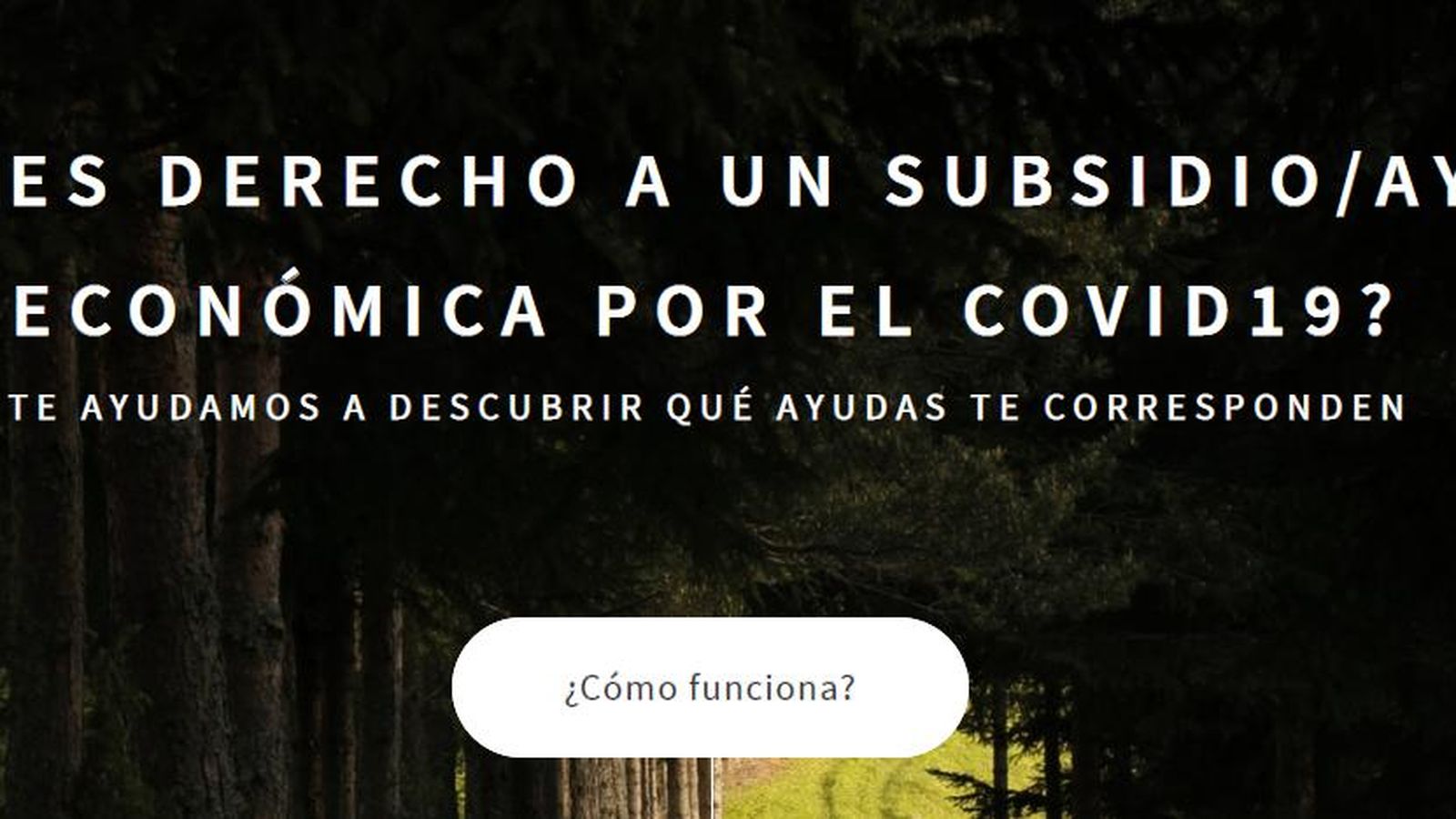 Captura de la página web 'www.subsidioscovid.es'.