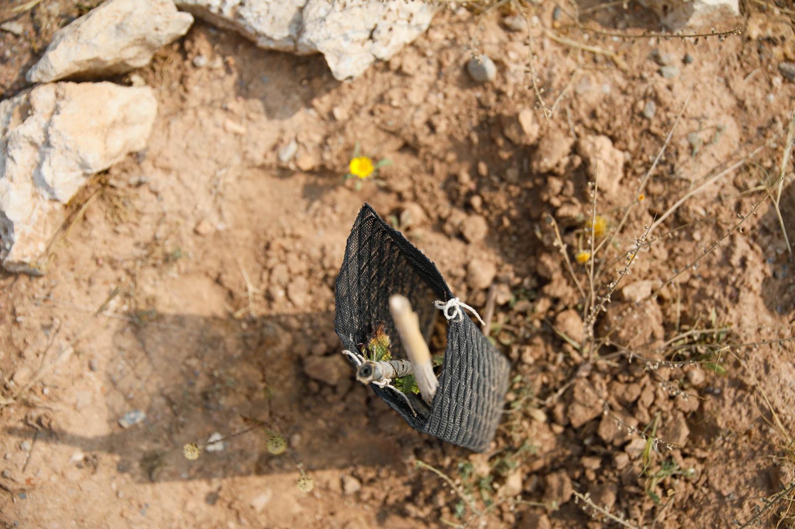 Presentación proyecto custodia compartida del Cordel de la Campita de Almería