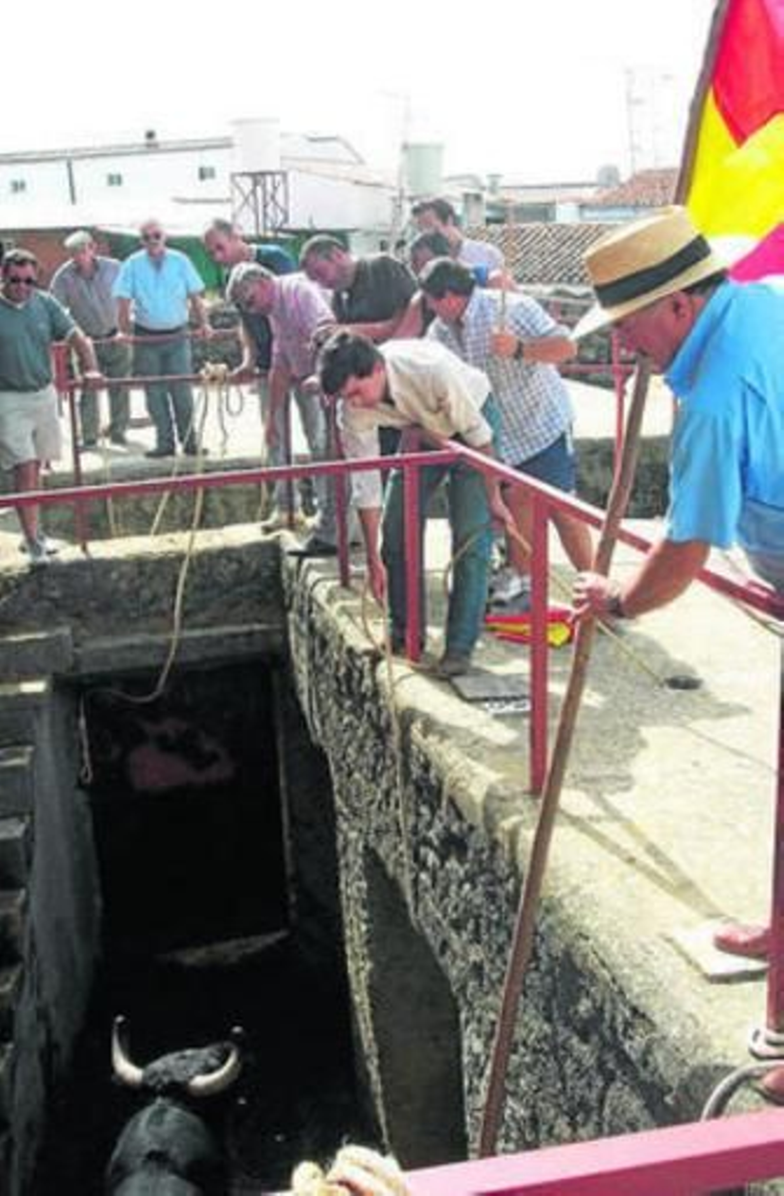 Gregorio Álvarez, padre e hijo, en tareas de enchiqueramiento.