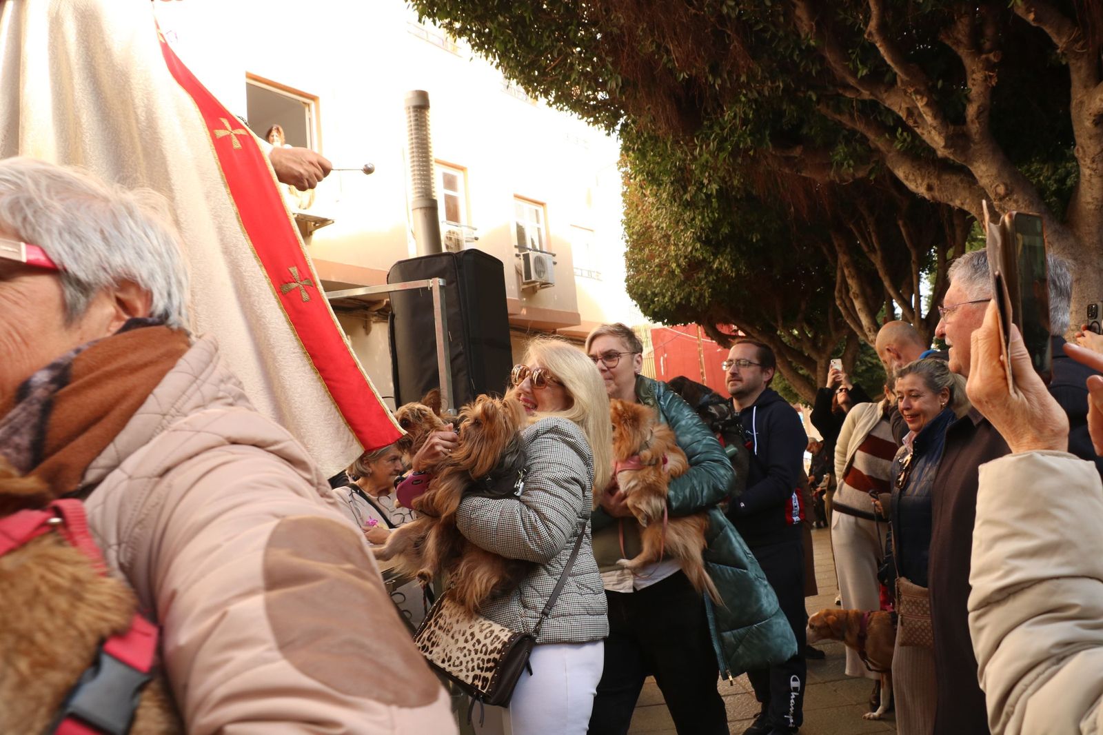 Así ha sido la bendición de las mascotas y la subasta de 'rabicos' en el casco histórico de Almería