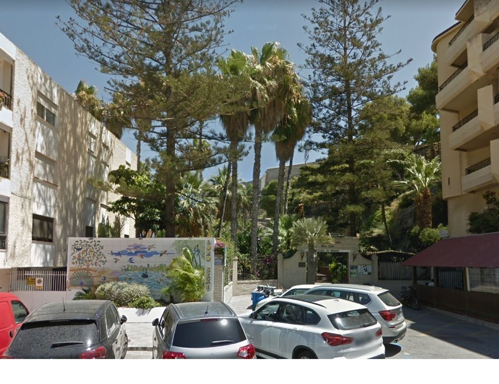 Bwana y Memsahid, los dos nuevos inquilinos del parque Loro Sexi