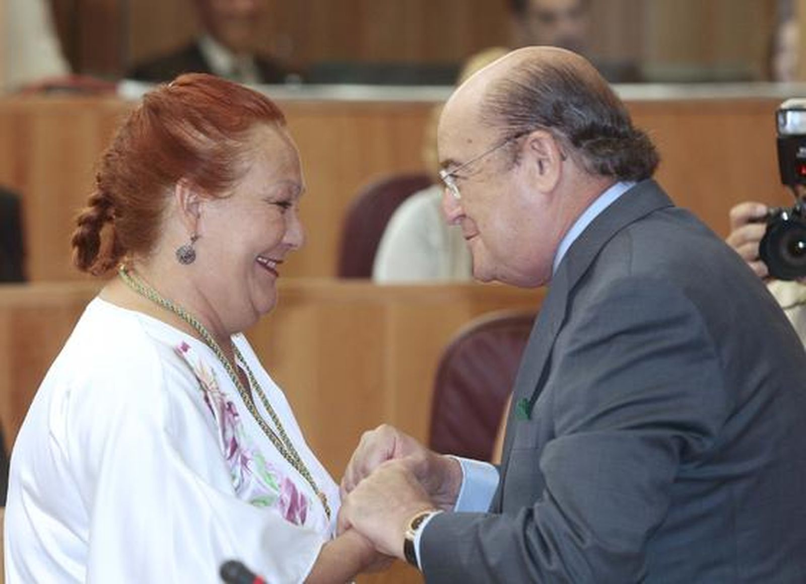 Sebastián Pérez es investido como nuevo presidente de la Diputación de Granada


Foto: Mar?de la Cruz