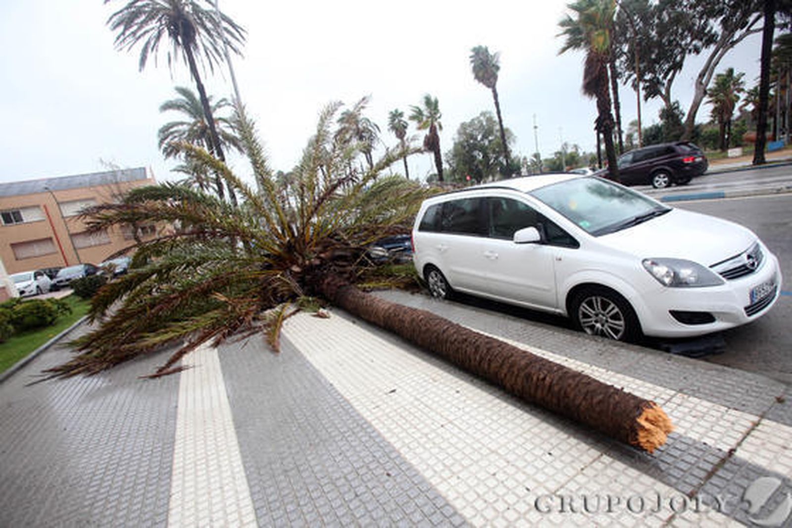 Foto: Andres Carrasco