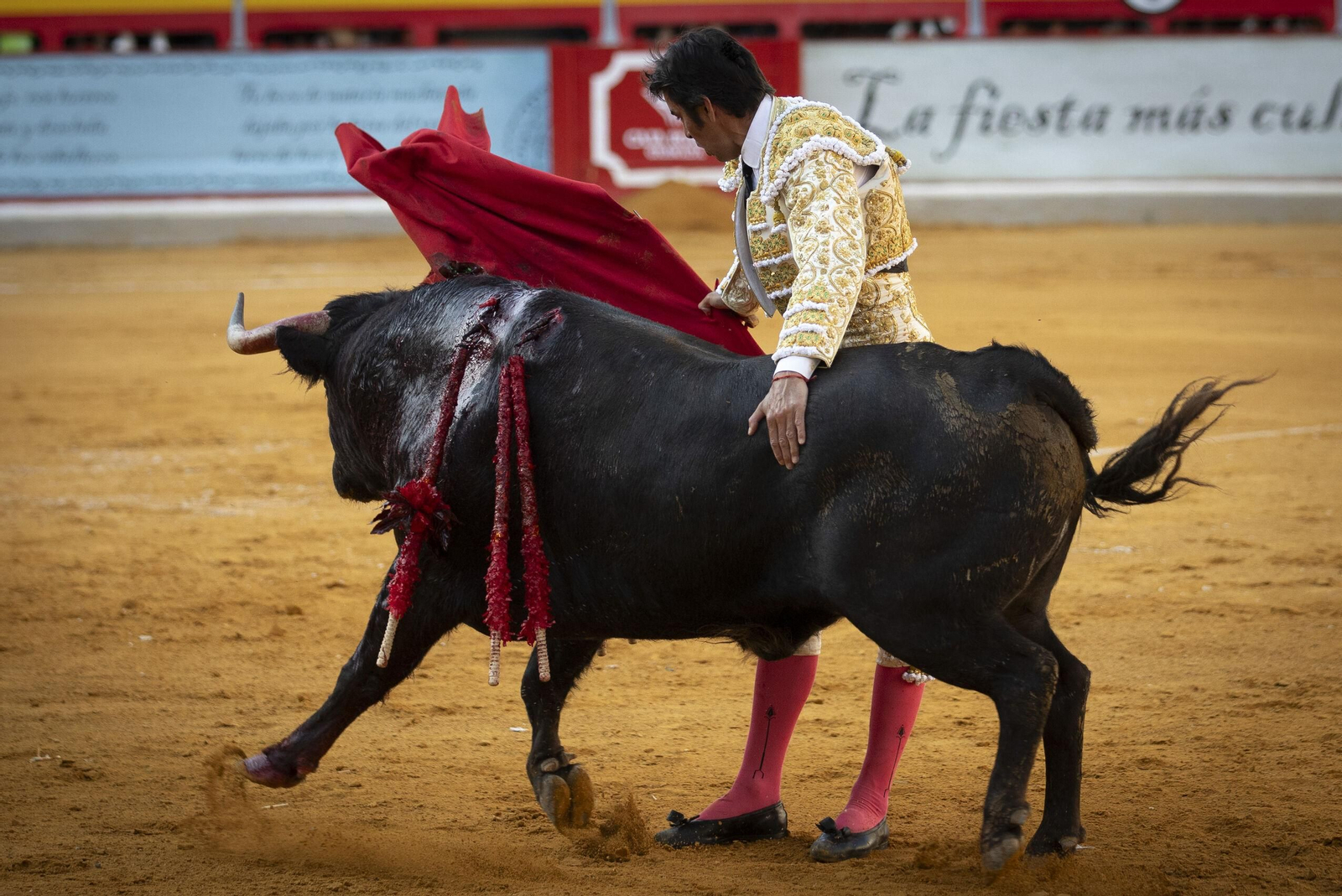 Pereda y Aguado triunfan en Granada