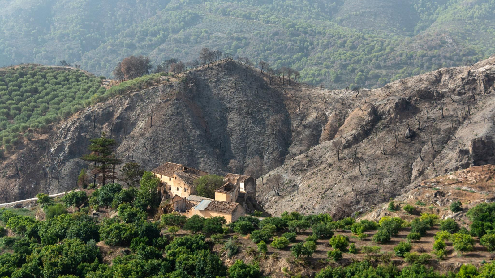 Los municipios afectados por el incendio de Los Guájares podrán solicitar ayudas de hasta 2,5 millones de euros