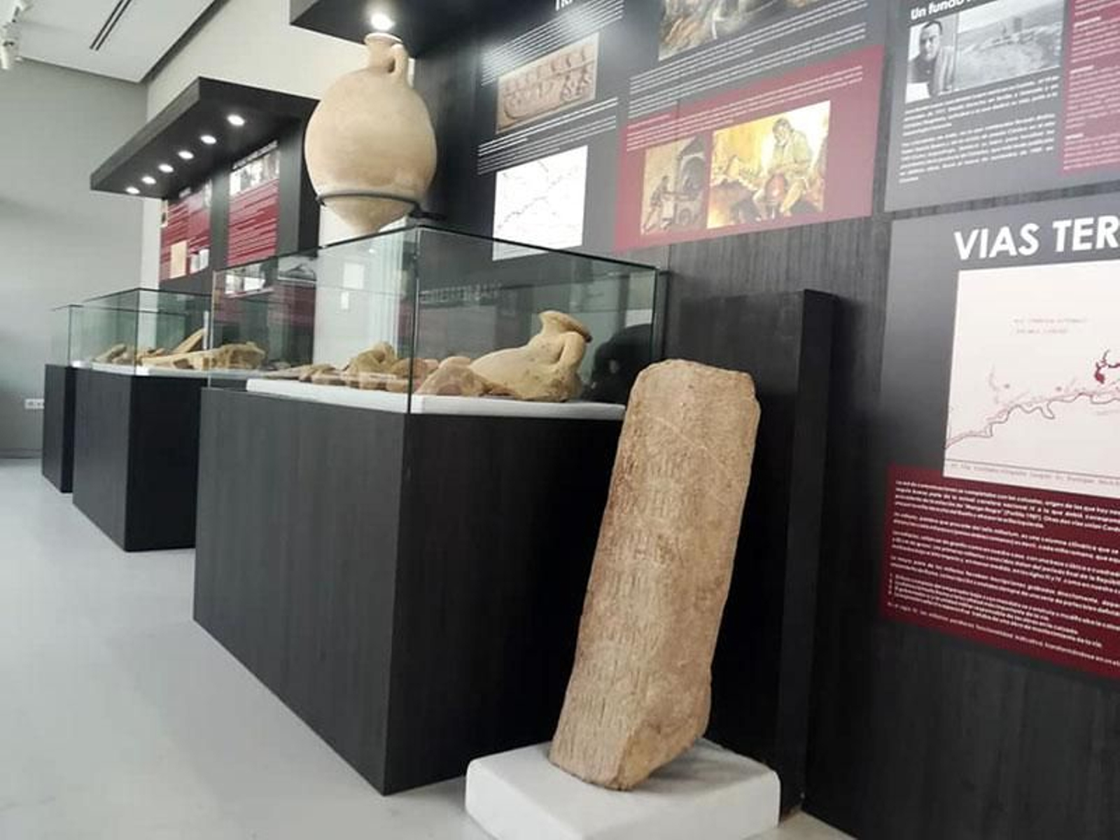 Exposición Arqueológica Municipal