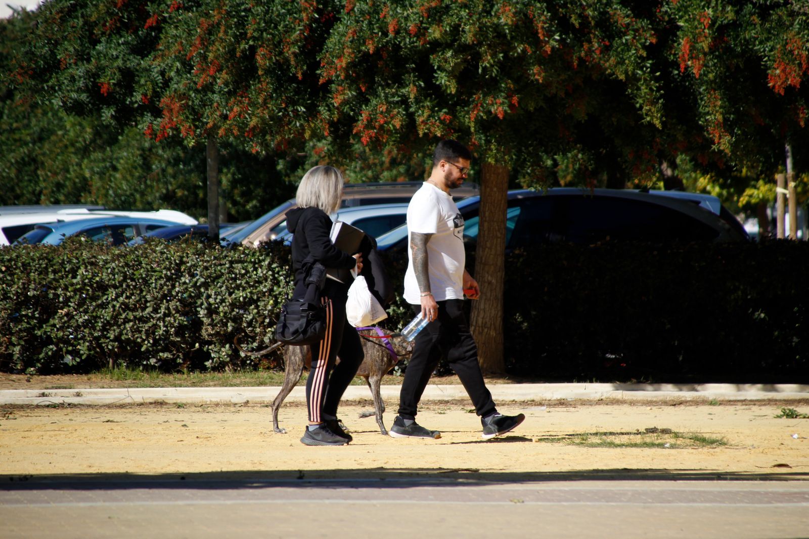 Las imágenes más destacadas del martes 7 de noviembre en Huelva