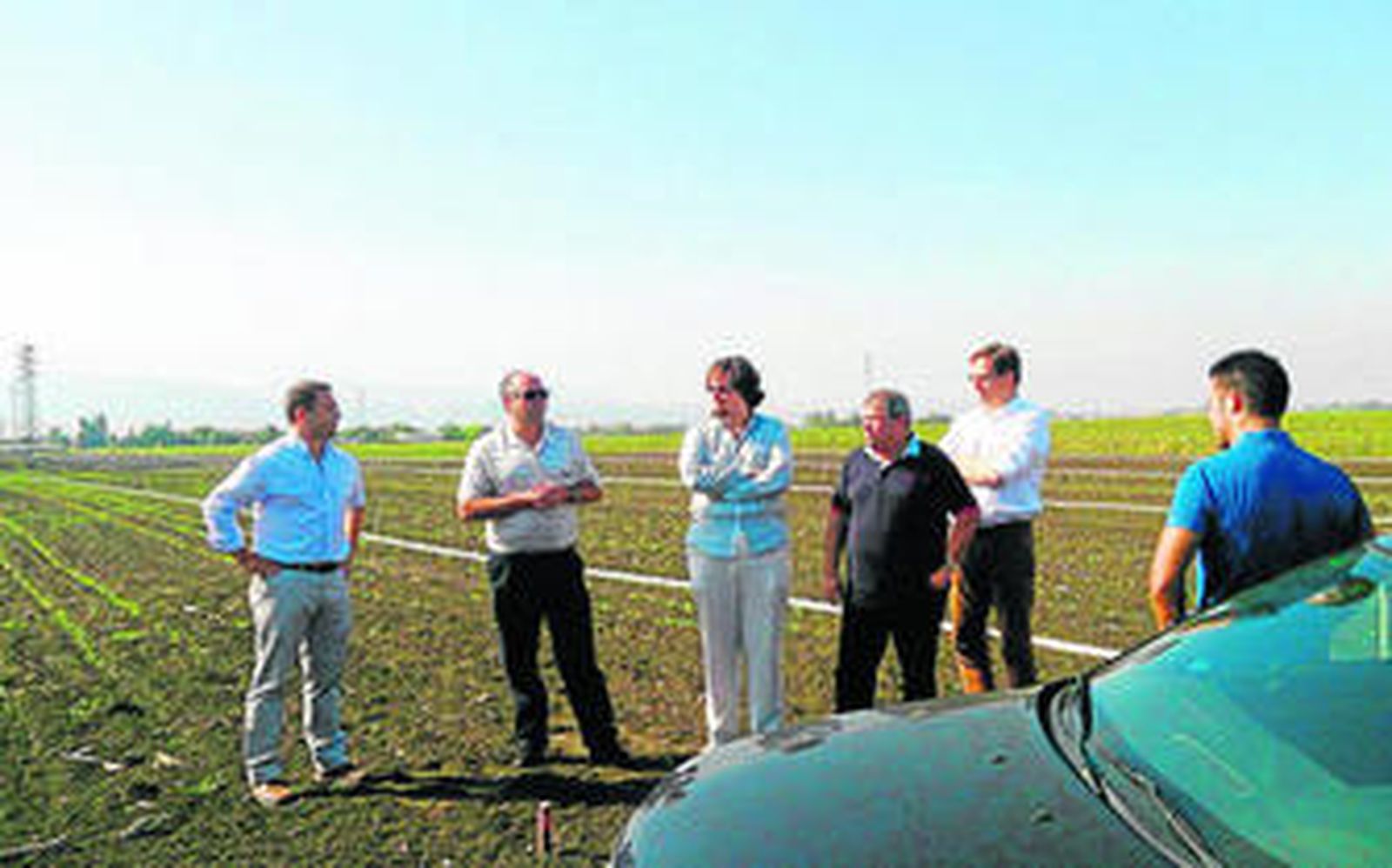 Los promotores del proyecto visitaron ayer la finca El Novillero, en Villamartín, donde agricultores experimentan siete variedades del cultivo del Kenaf.