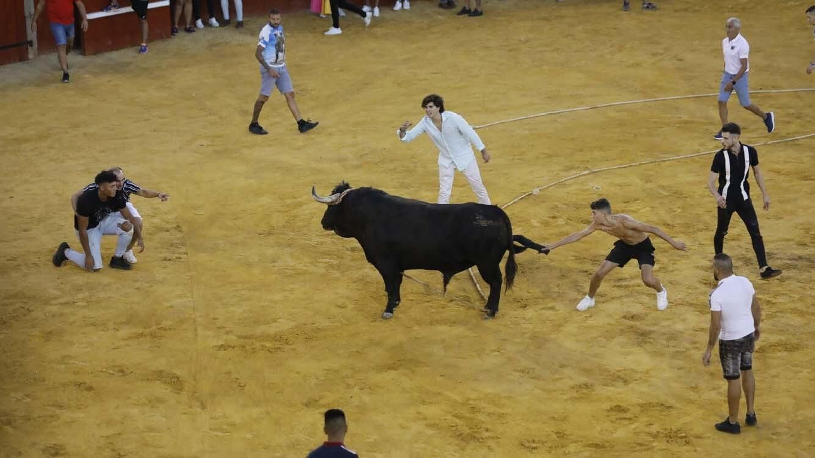 Las fotos del Toro del Aguardiente de San Roque