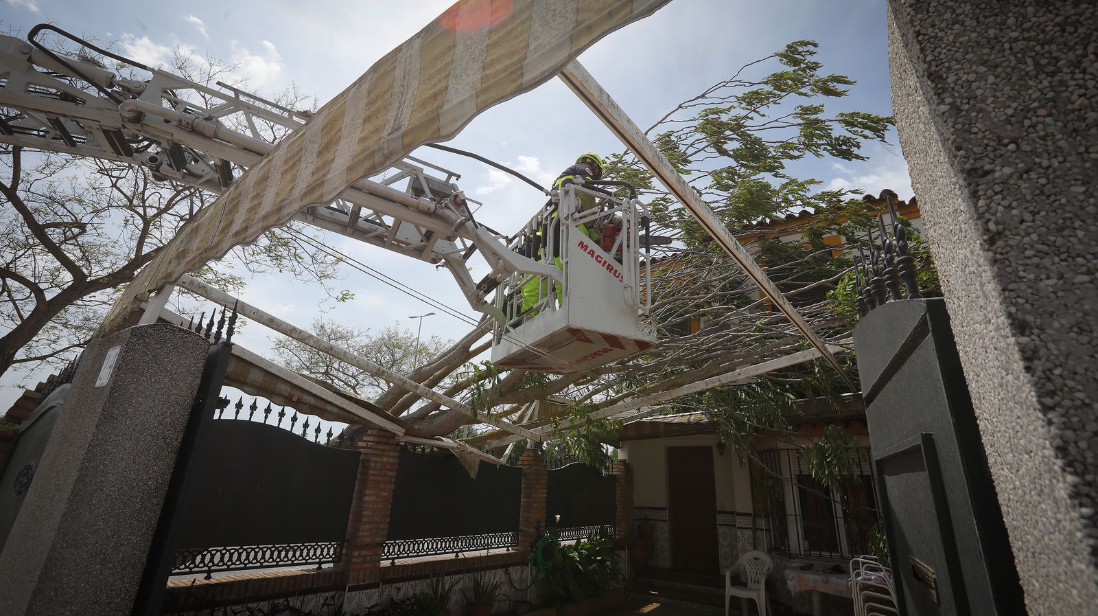 Cae un árbol en una casa por el fuerte temporal de viento que azota Jerez