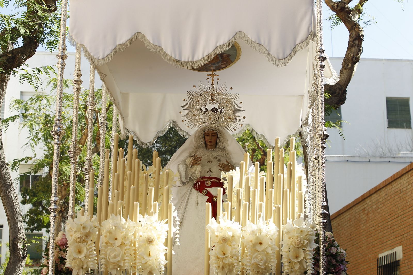 Imágenes Procesión de la Borriquita de Almería capital. Semana Santa 2019
