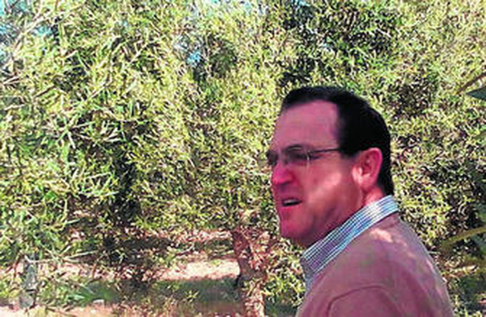 Victorino Vega, investigador, presidente de una cooperativa en Pedrera y agricultor.