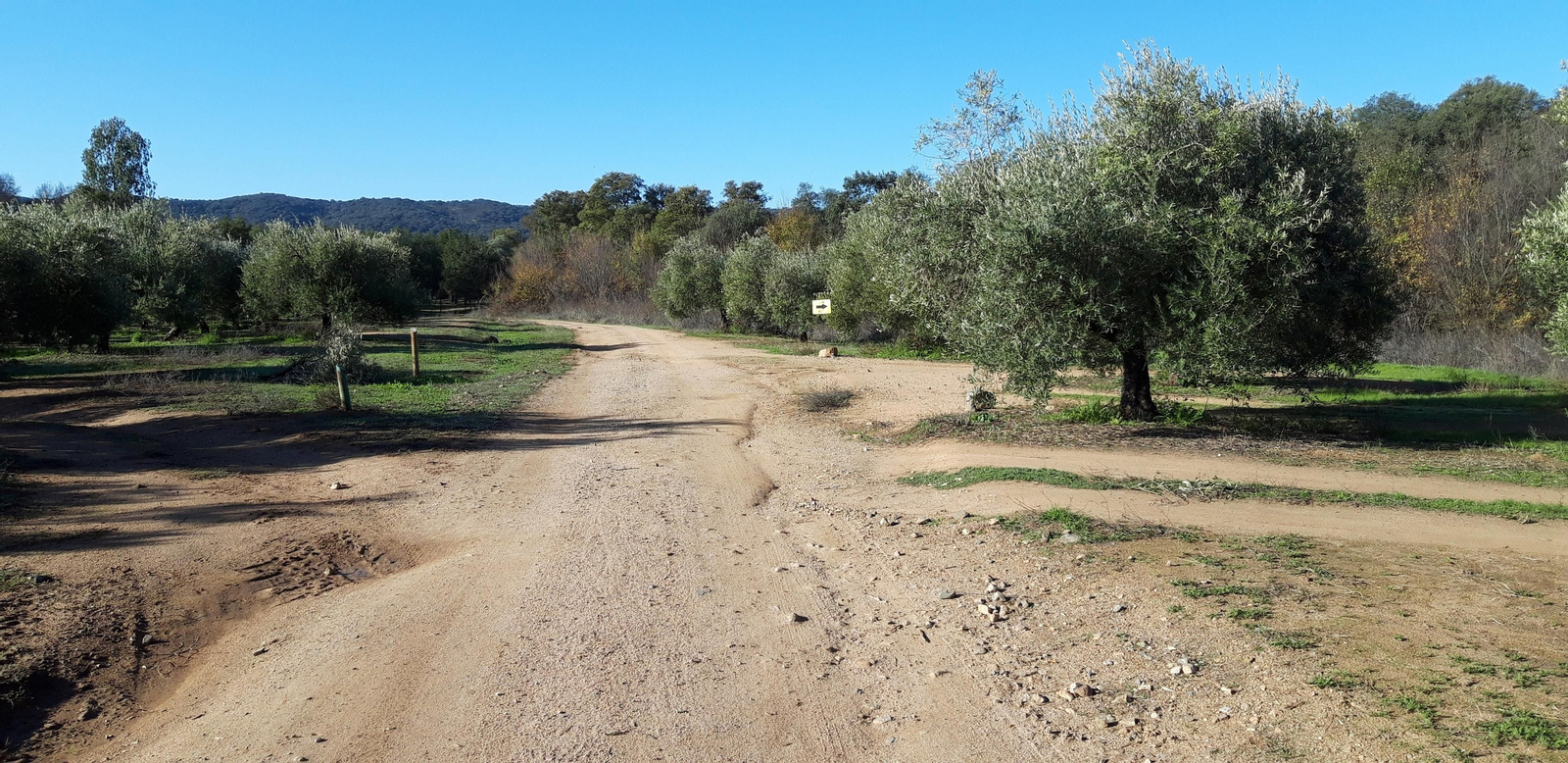 Las fotos de las ruta del Arroyo de las Cañas