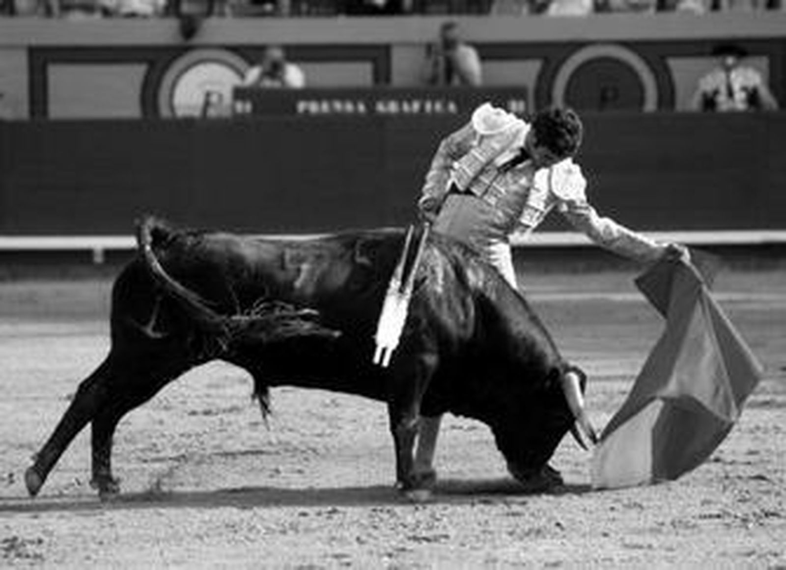 El novillero mejicano Juan Pablo Sánchez toreando al natural al noble novillo de El Cortijillo.