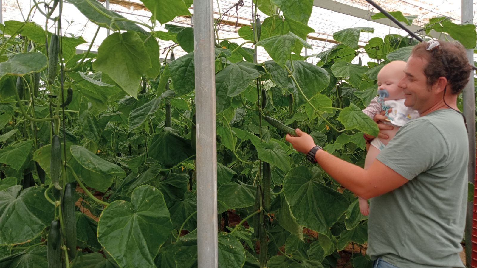 También aprendieron el trabajo en el invernadero.