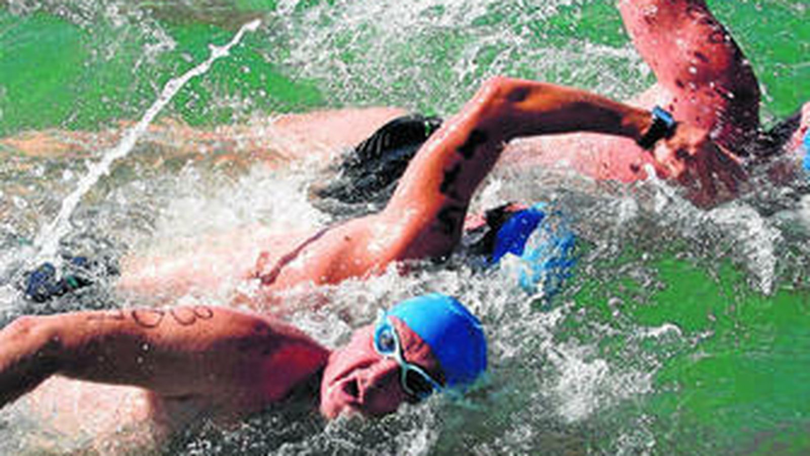 Participantes de travesías anteriores.