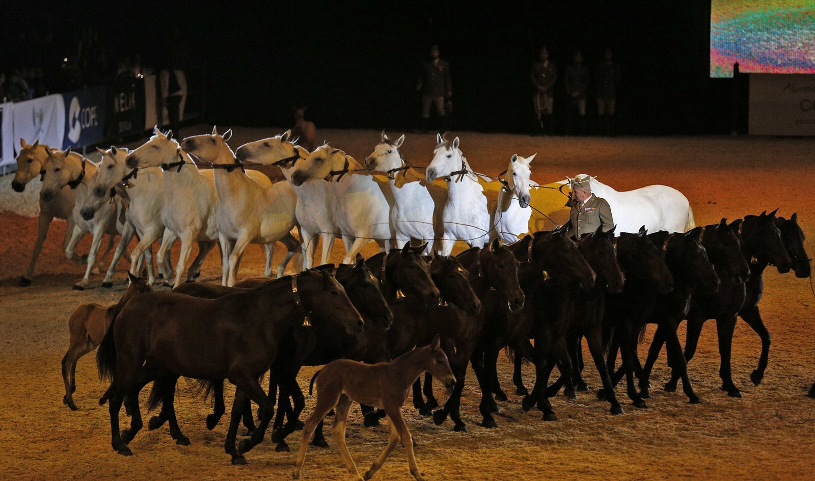 Inauguración de Sicab 2017