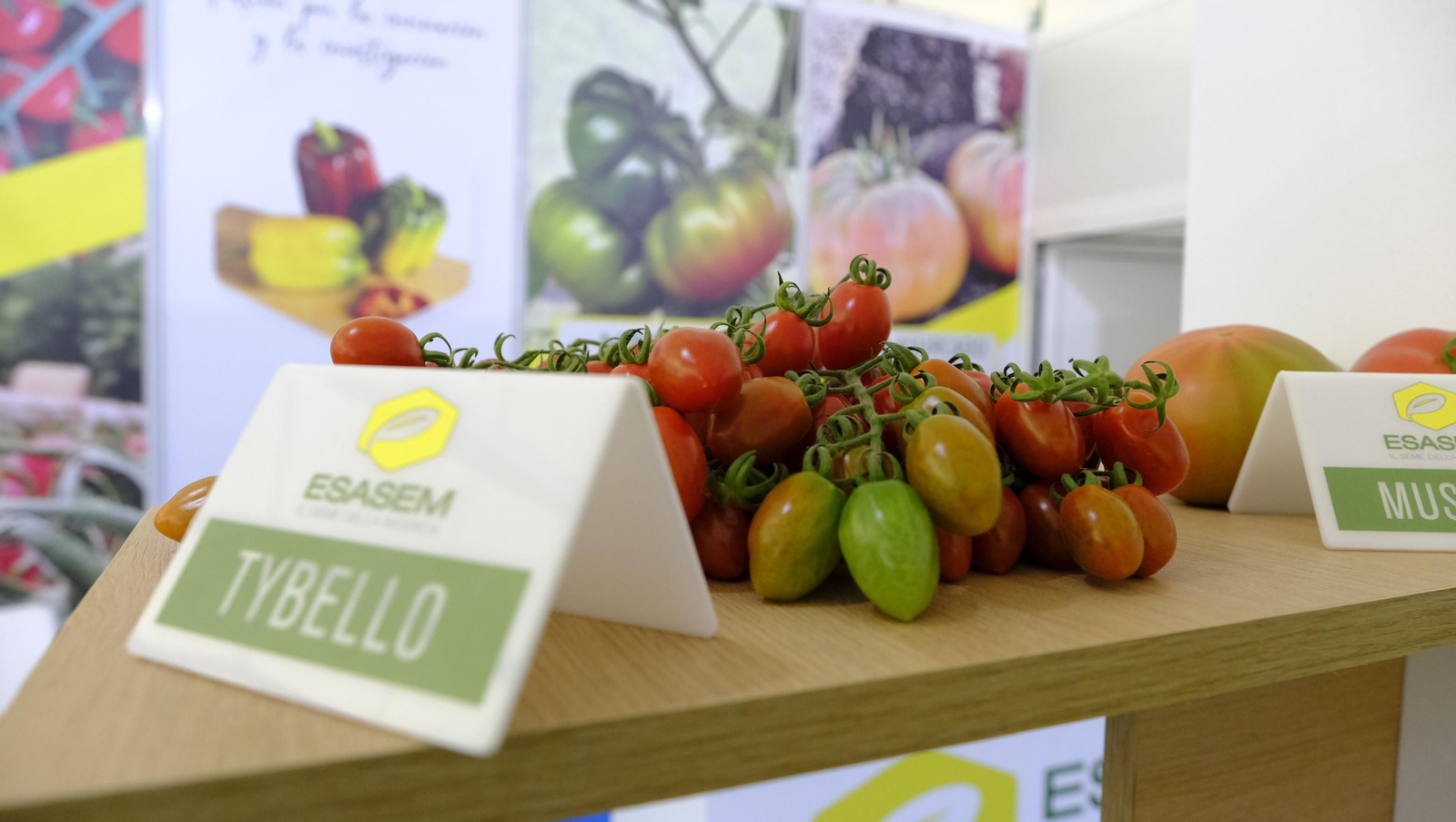 Imágenes del segundo día de Expolevante Níjar 2024