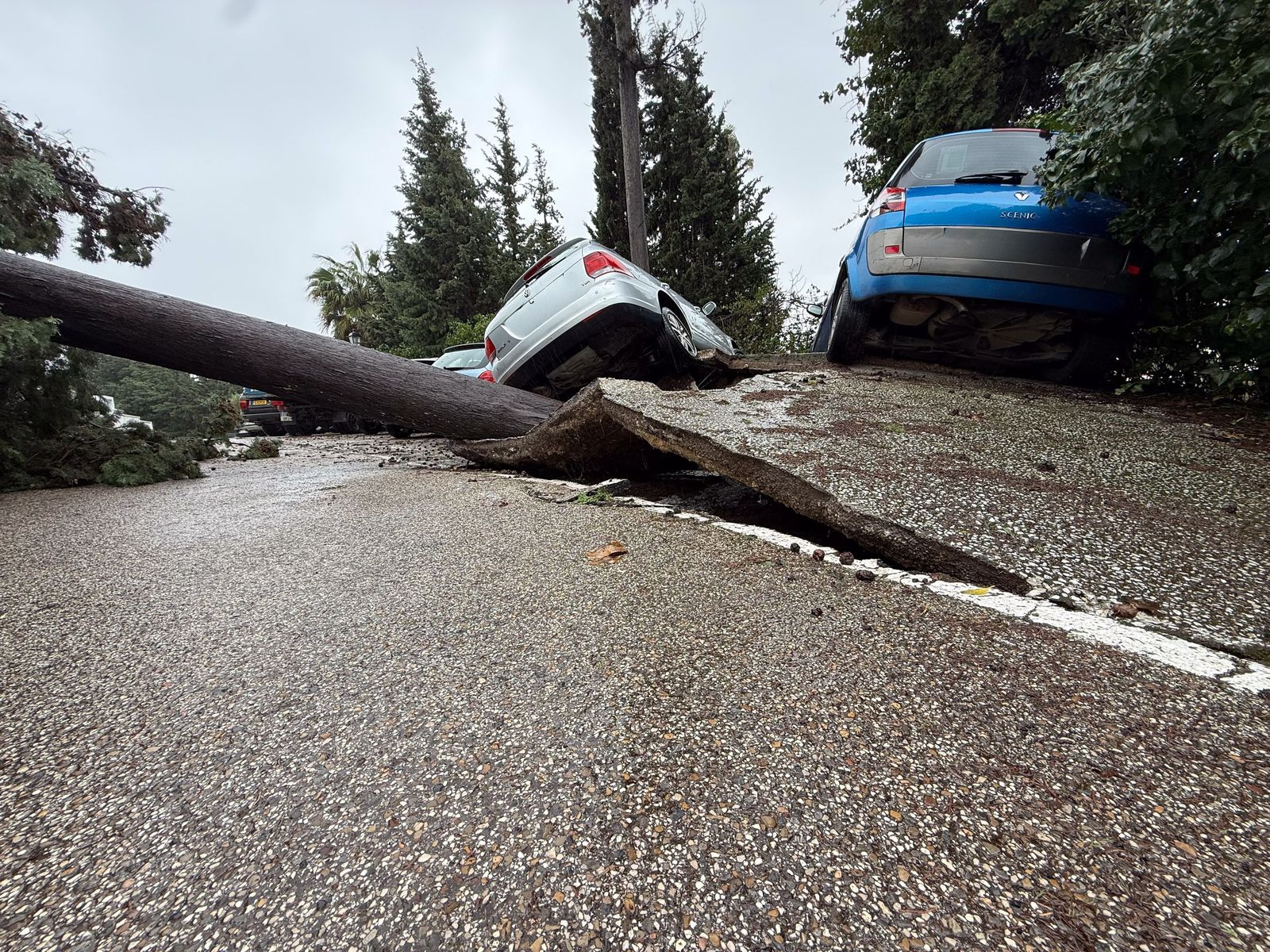 Fotos: Así amaneció el Campo de Gibraltar tras el paso de la borrasca Leonardo