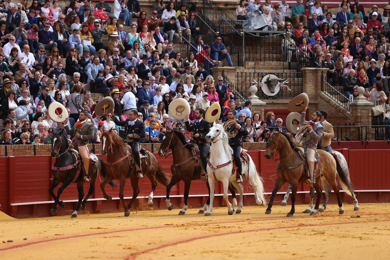 XXXIII Exhibición del Real Club de Enganches de Andalucía en la Maestranza