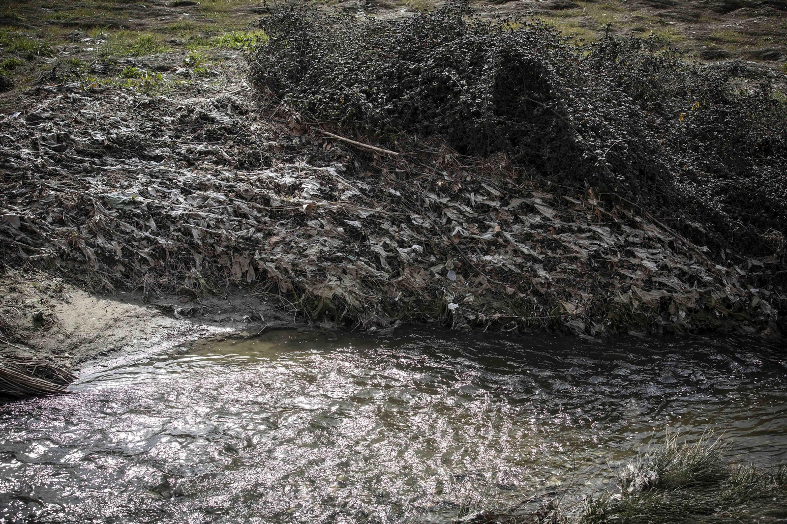 Fotos del 'cementerio' de toallitas que se acumula junto al río Genil en Granada